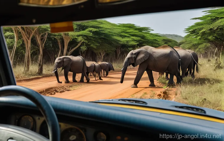 앙골라에서 자동차 렌트 방법 - Here are three detailed image prompts in English, designed for image generation and adhering to all ... 앙골라에서 자동차 렌트 방법 - Here are three detailed image prompts in English, designed for image generation and adhering to all ...